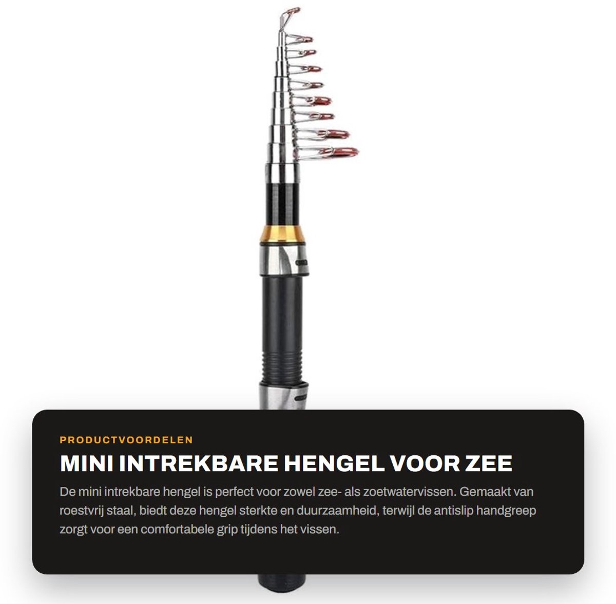 Dailygoods- Hengel Intrekbaar 2.1m - Roestvrij Staal - Draagbaar - Antislip Handgreep - Voor Zee/Zoutwater en Zoetwater Vissen - Stevig en Duurzaam - Visstok