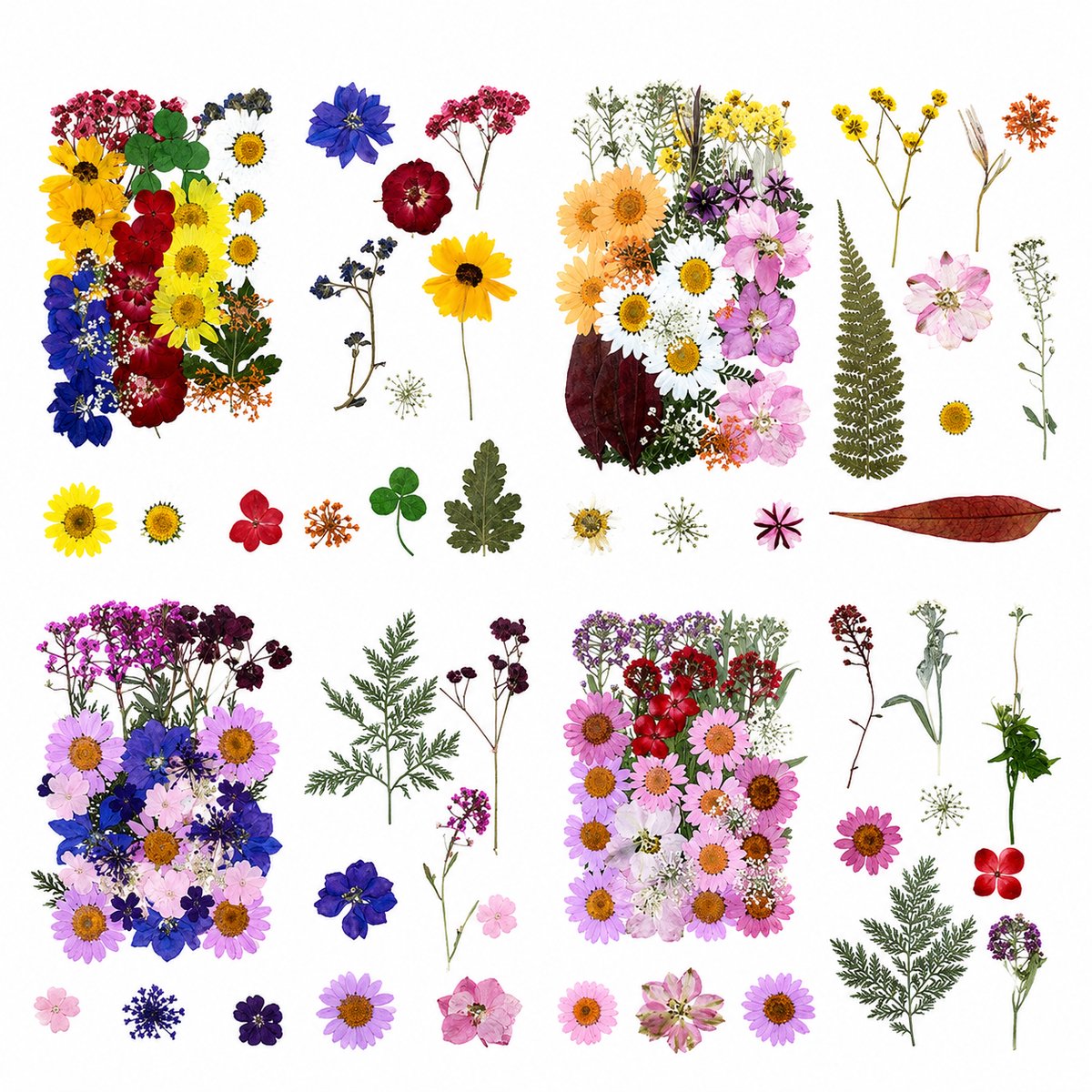 BOTC Natuurlijk Gedroogde Bloemen - Droogbloemen - 140 Stuks - Gedroogde Bloemen Set van 4 stuks - Echte Gedroogde Bloemen en Vlinders voor Resin Art, Sieraden Maken, Scrapbooking en DIY Decoratie Veelkleurig