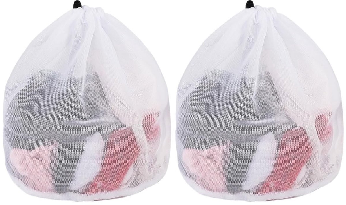 Dailygoods- Wasnet - 2 Stuks - 40 x 50 cm - Fijn Gaas - Herbruikbaar - Ondergoed/Sokken - Duurzaam Polyester - Waszak