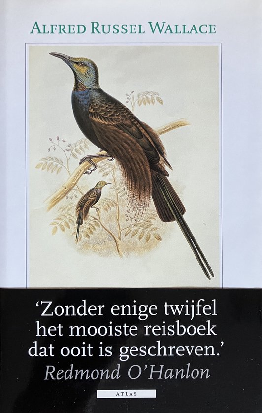 Zonder enige twijfel het mooiste reisboek dat ooit is geschreven