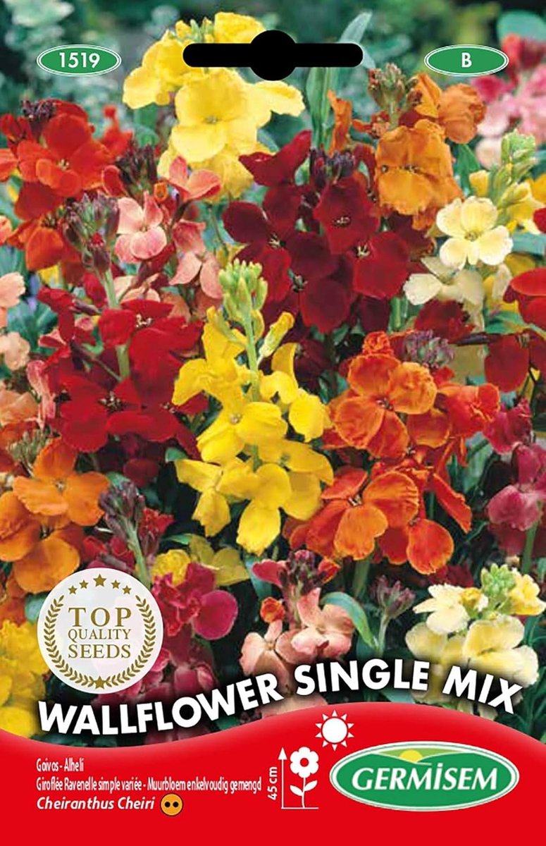 Muurbloem Zaden - Diverse Kleur - Hoge Opbrengst - Geschikt als Snijbloem - Voor Tuinliefhebbers