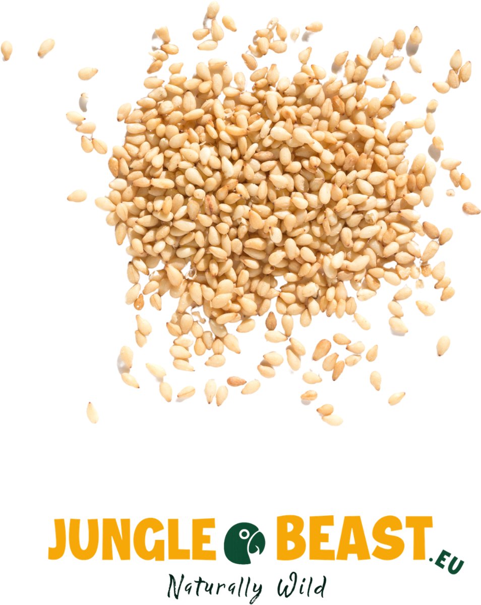 Jungle Beast | Sesamzaad | Vogels | Papegaaien