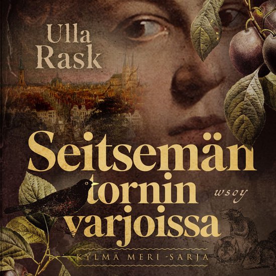 Boekomslag met de tekst "Ulla Rask Seitsemän tornin varjoissa" en een afbeelding van een stad.