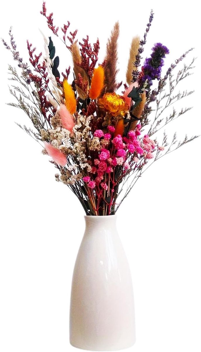 Thijox - 35 Stuks Gedroogde Bloemen 45 cm - Natuurlijke Bloemen voor Tafeldecoratie, Bruiloft, Kantoor en Woonkamer - Unieke Bloemstukken en Arrangeme