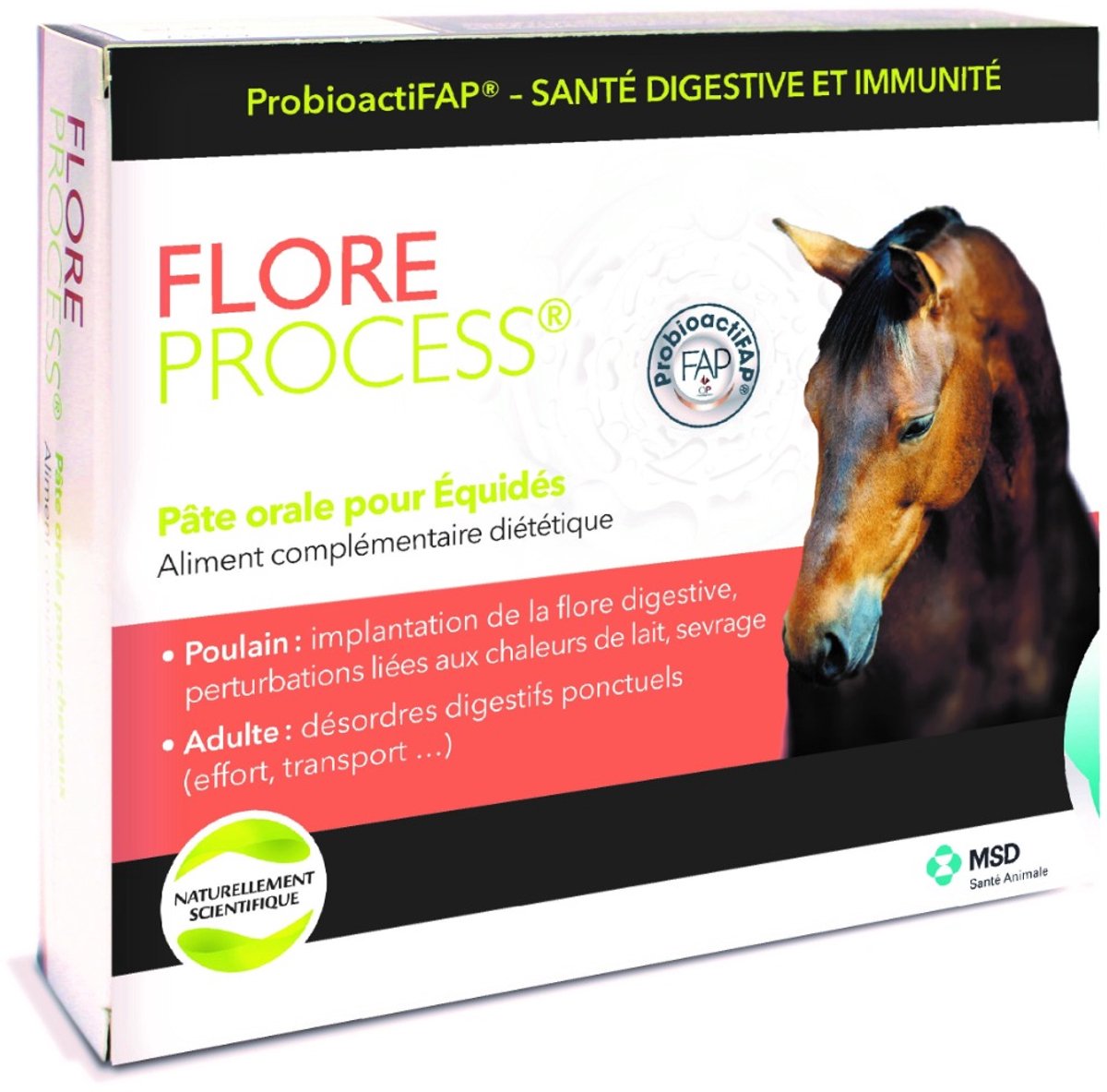 FLORE PROCESS Paard 5 spuiten van 20 ml - MSD