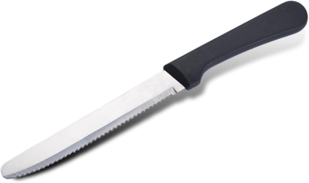 Set van 6 roestvrijstalen steakmessen met ergonomisch handvat, antislip en geschikt voor v