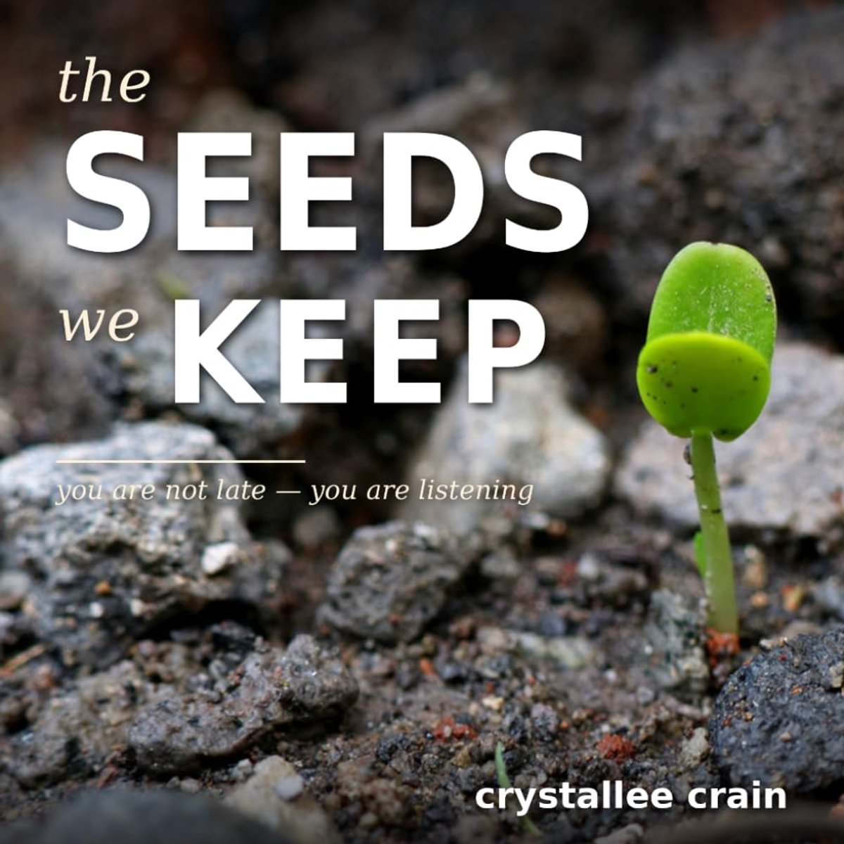 SnelShoppen - The Seeds We Keep: Parabel over Inactiviteit, Oordeel en Erfgoed in de Schil, Inspirerend Boek voor Groei, Ontwikkeling, en Reflectie