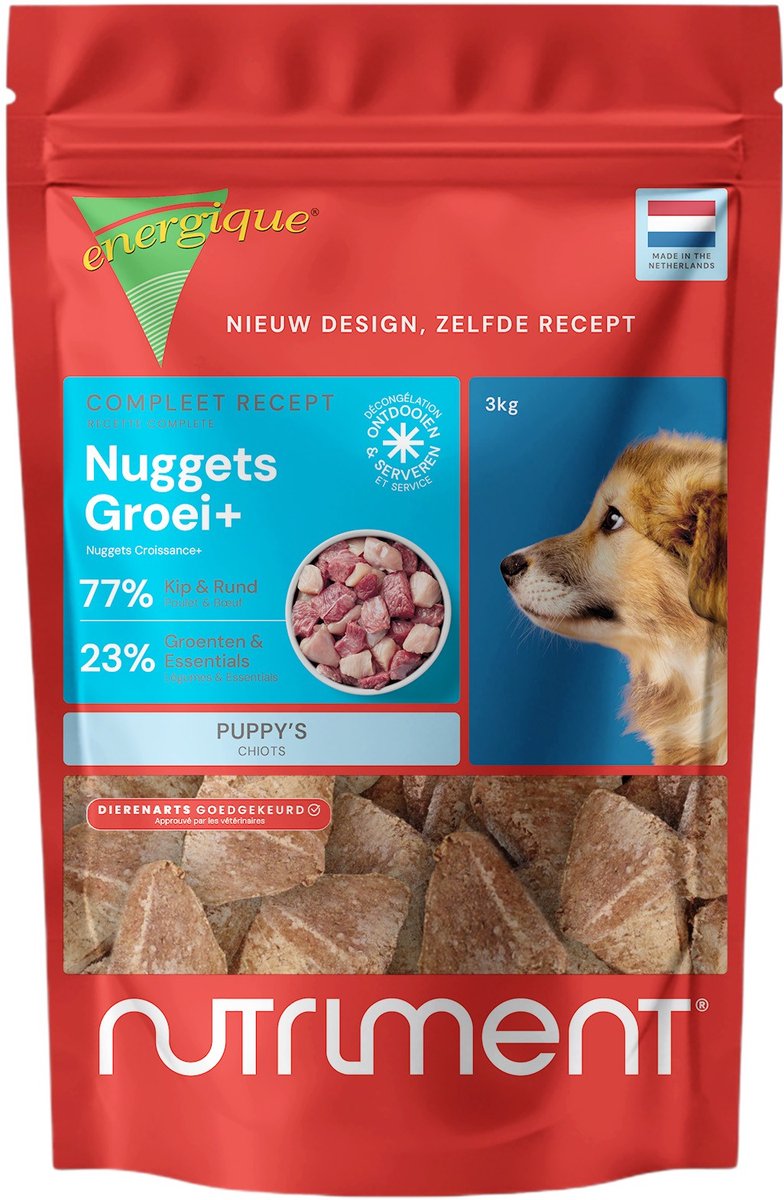 Energique Energique Nr 2 Puppy