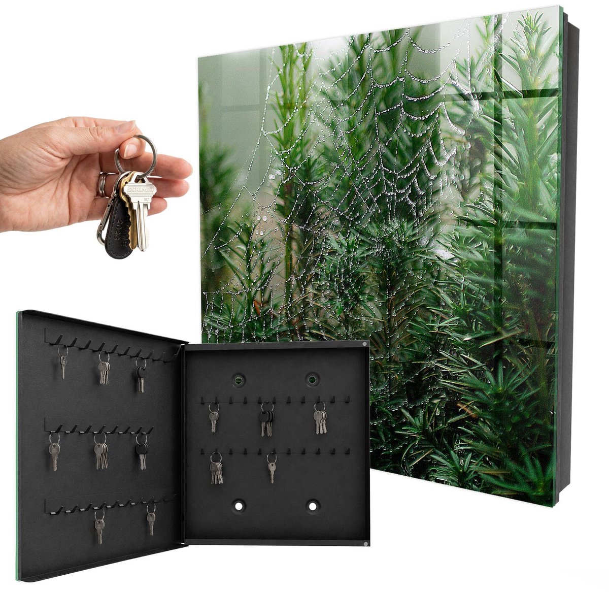 WallMuralia - Sleutelkast - 30x30x5 cm - met 50 haken - Spinnenweb In Het Bos Sleutelkastje Muur - Groente Sleutelbox - Linksopenend - Zwart interieur