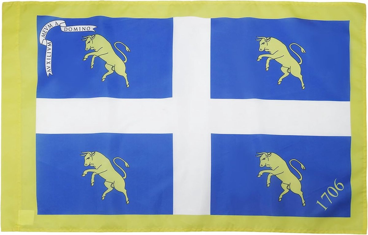 FLAG Vlag Stad Turijn 150x90 cm Polyester 100D Mouw | Binnen en buiten decoratieve vlag dubbel gestikte naden en verstevigde randen met masttunnel 100D polyester