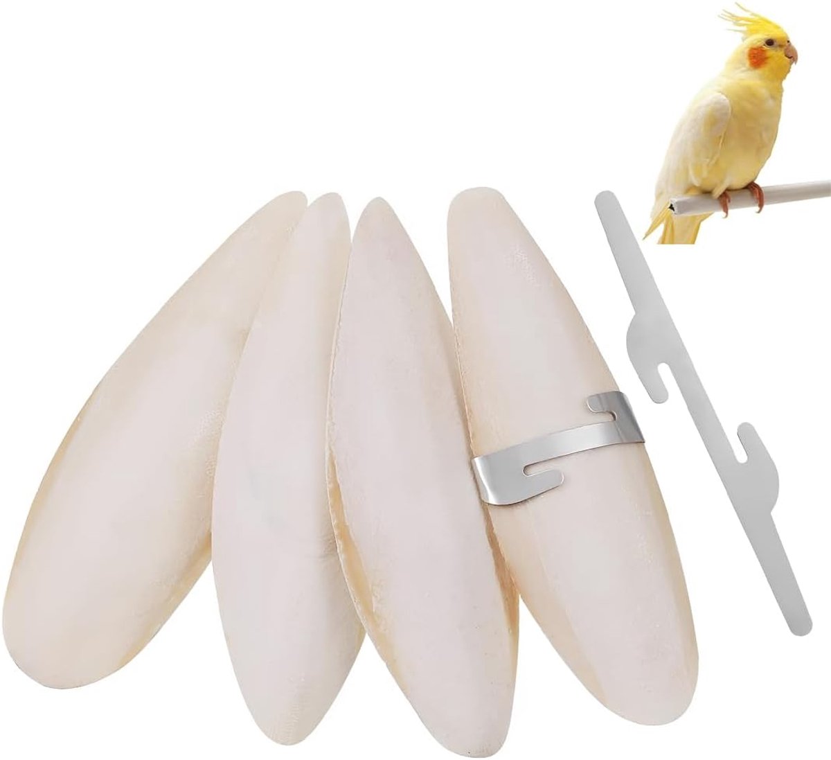 4 sepia + 2 beha's, 7-9 cm, geel, calciumbron voor papegaaien, vogels, reptielen