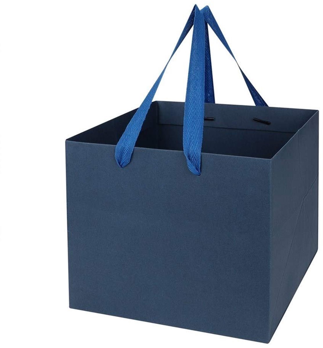Omgoods - Kraftpapier Gift Bags - Set van 10 Stuks voor Cadeaus