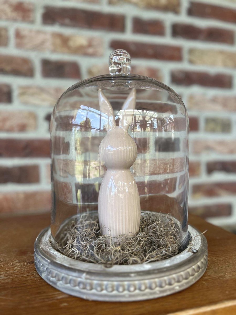 Creaties van hier – met houten hartje - Glazen stolp met Haasje bruin-taupe en Tillandsia - 26x23cm