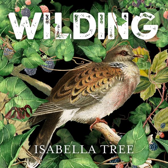 Wilding - cover