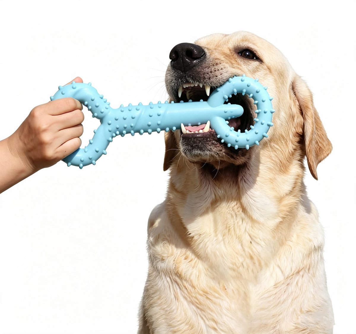 Duurzaam Rubber Kauwspeeltjes - Hondenkauwspeelgoed – Hondenspeelgoed - Tandreiniging & Tandverzorging - Sterk Kauwbot Hond - Tanden reinigen en tandvlees masseren - Voor Sterke Kauwers