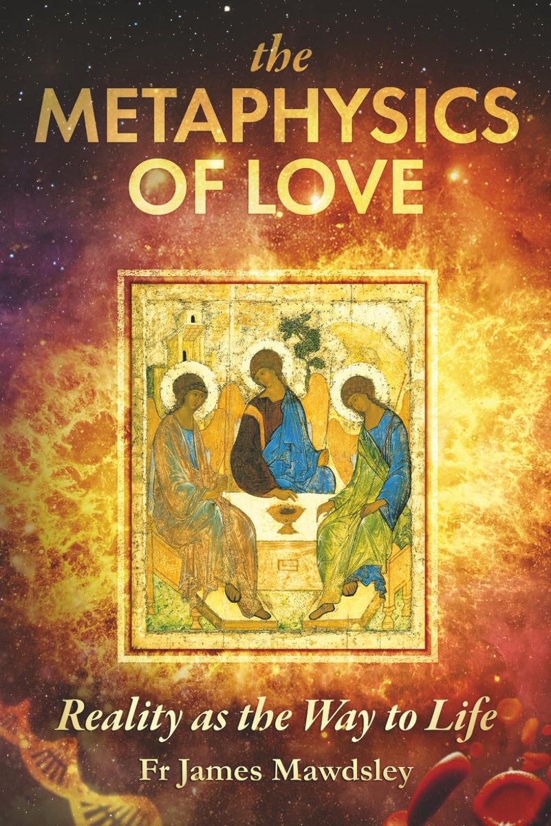SnelShoppen - The Metaphysics of Love: Realisme, Levenswijsheid, Filosofie, Zelfhulp, Boek over Liefde, Emotionele Groei, Persoonlijke Ontwikkeling