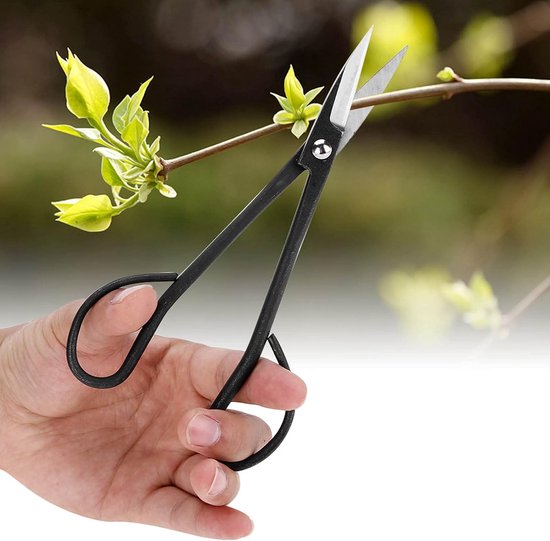 Tuin Bonsai Schaar - Snoeigereedschap Planten - Precisie Snoeien - Roestvrij Staal - 190 mm - Zwart — afbeelding 5