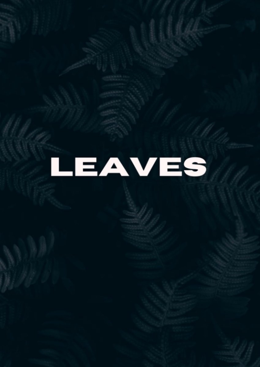 Silent Book Picture Book with Beautiful and Dreamy Plant Leaves | Photos of Beautiful Leaves and Plant Forms and Colors | Photo Collection in high-quality color printing in large format