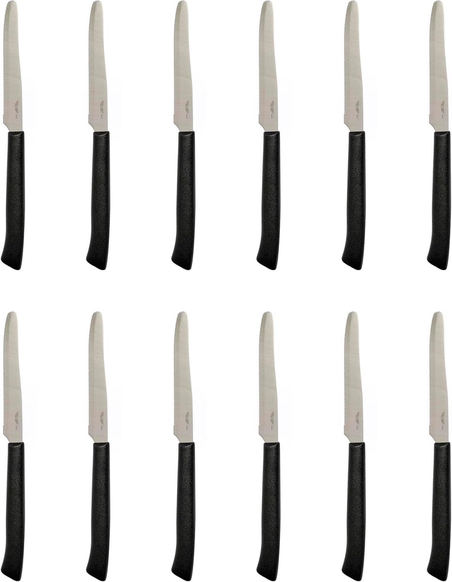Collection Set 12 roestvrijstalen tafelmessen, zwart polypropyleen handvat kantoormessen, ideaal voor het schillen van fruit