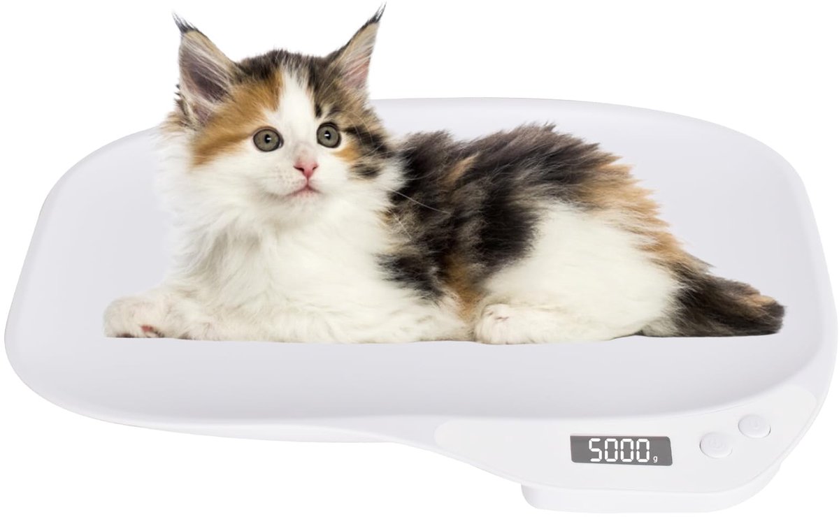 Omgoods - Digitale Schalen voor Huisdieren - Tot 15 kg - Met 4 Gewicht Modi