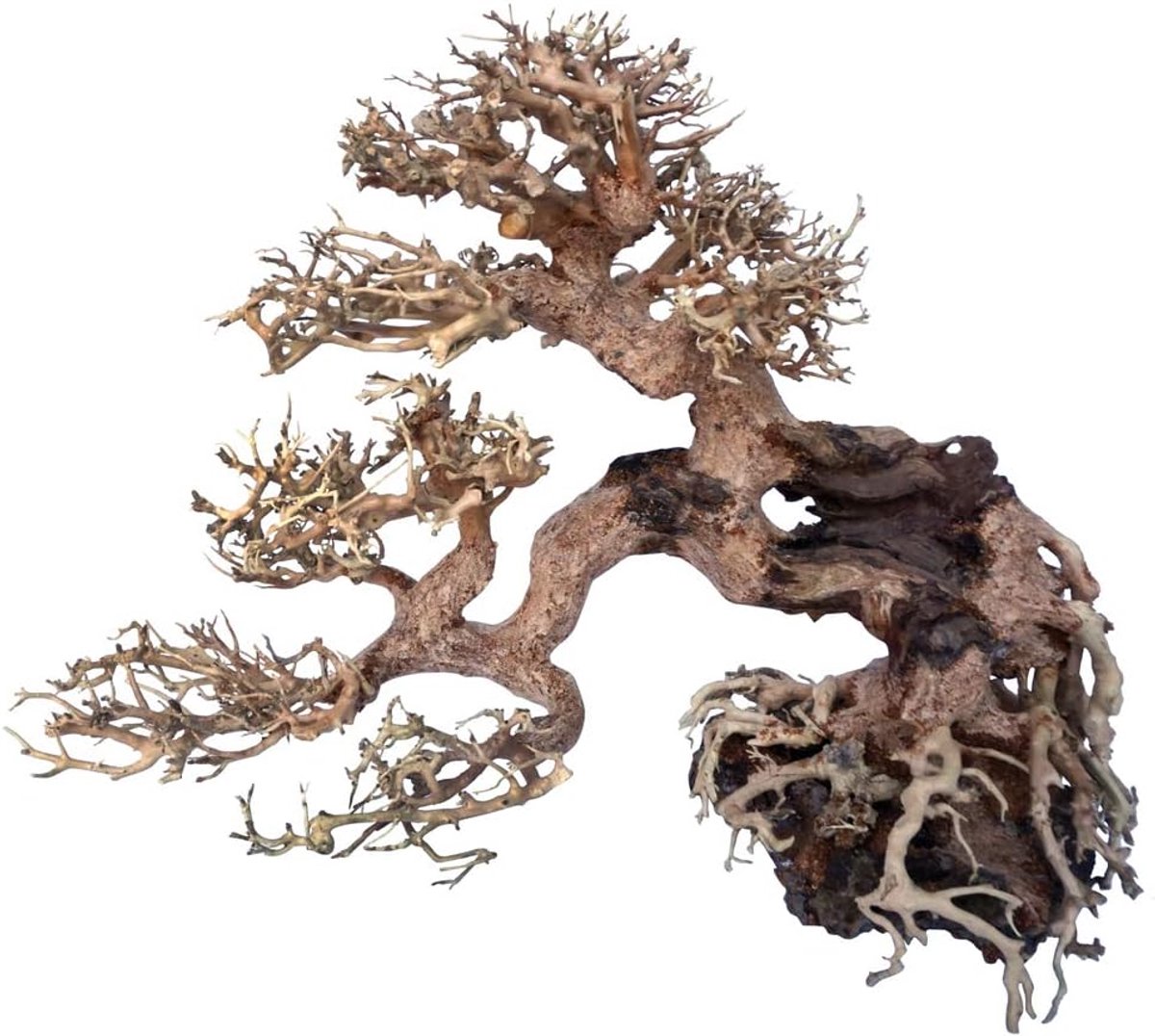 Wood Oriental Wind 7 Small 1 Count 21 g, 25 X 10 X 20 cm
