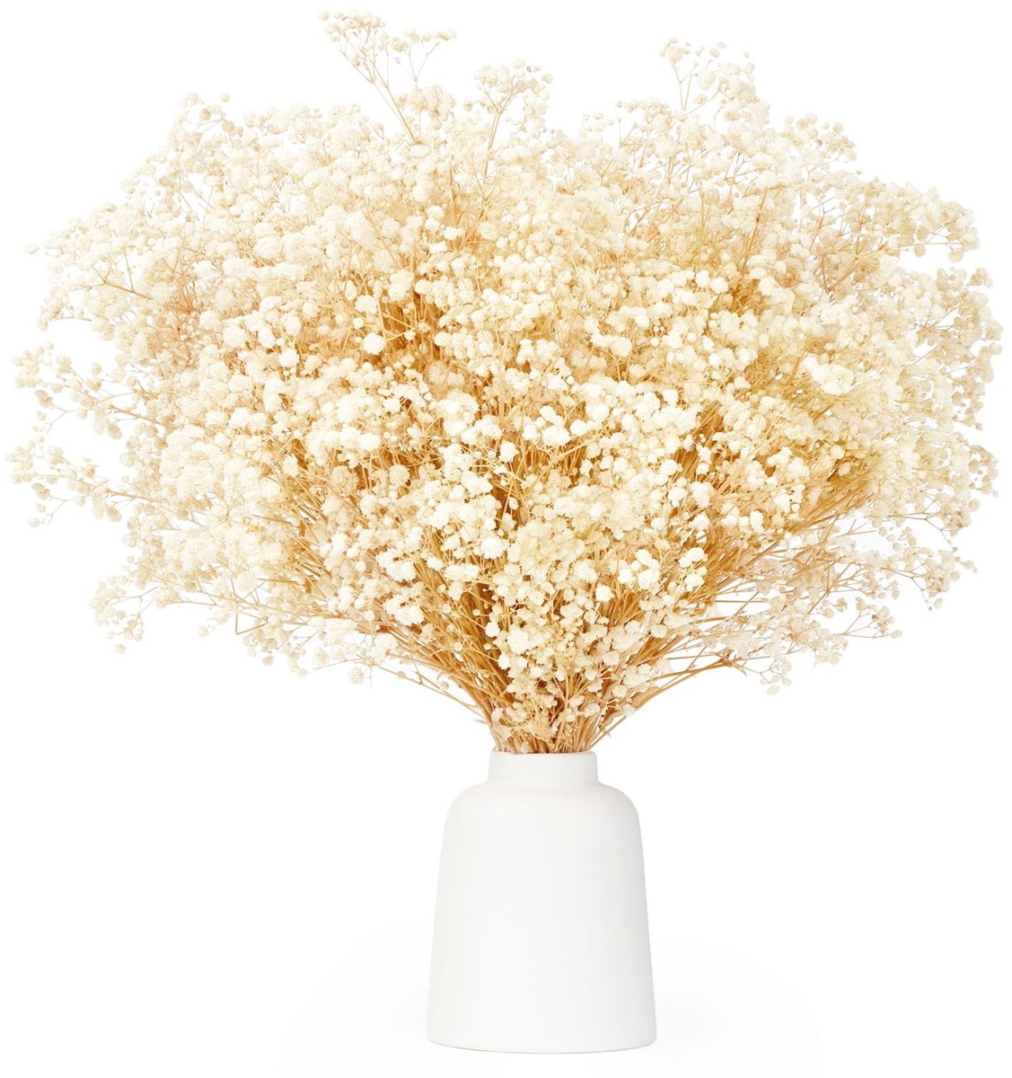Omgoods - 17 Inch Drogen Bloemen - 3500 Witte Gypsophila Takken voor DIY