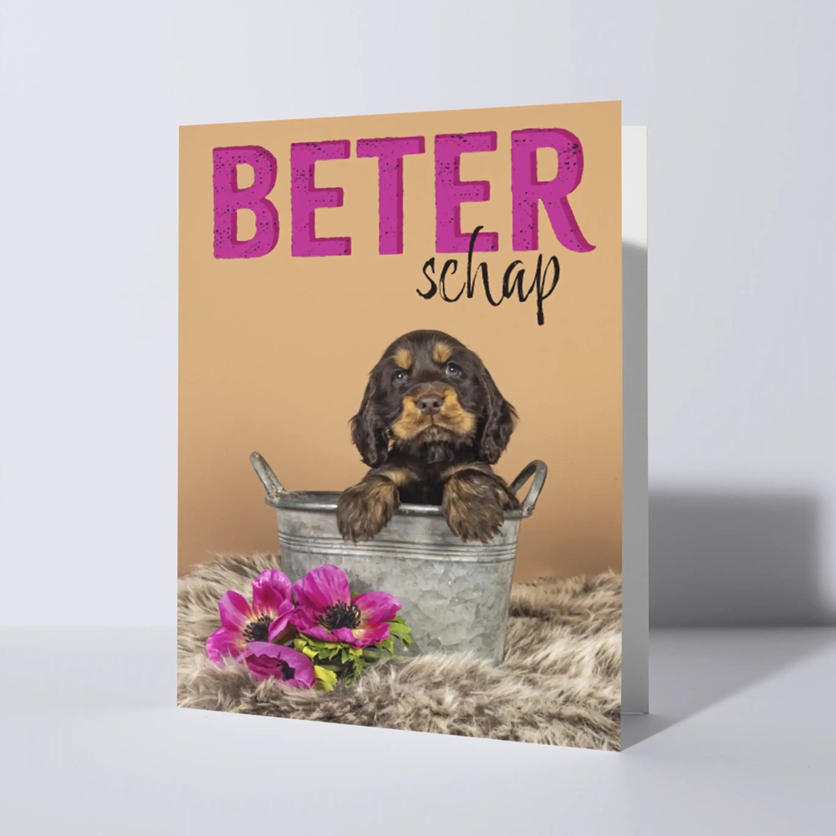 CAT'CHY Cards - wenskaart - beterschap - hond