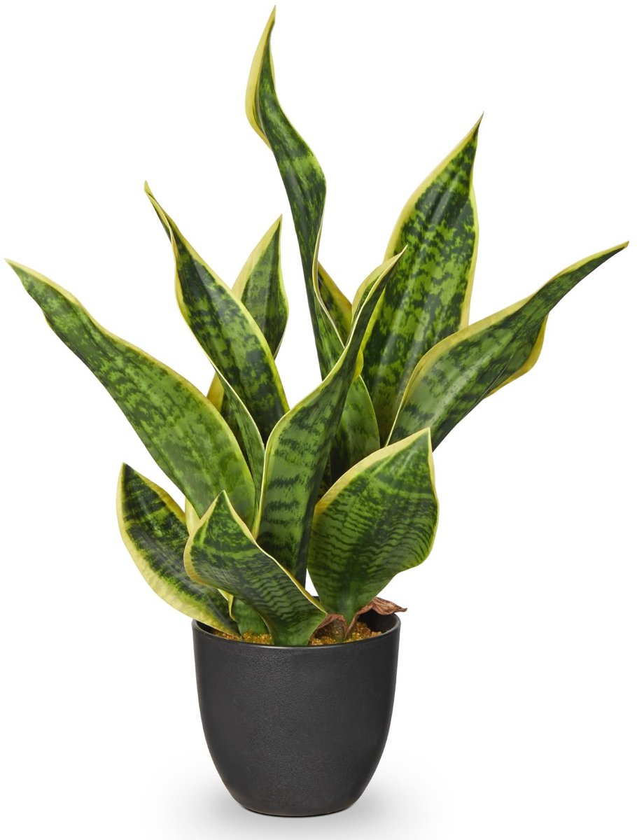 Dailygoods - Booghennep Kunstplanten in Zwarte Pot - 47 cm Decoratie
