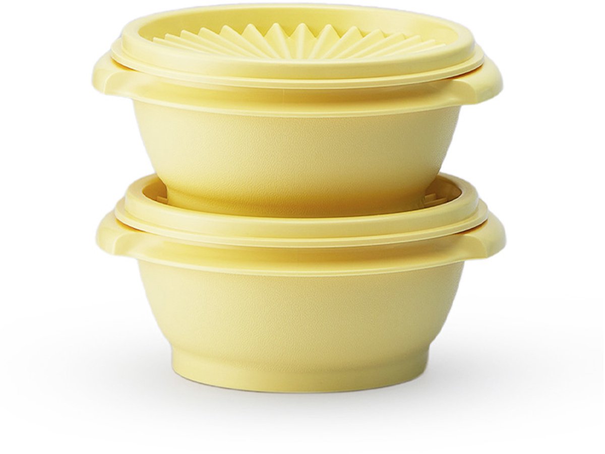 Tupperware zonnedeksel kommen set van 2