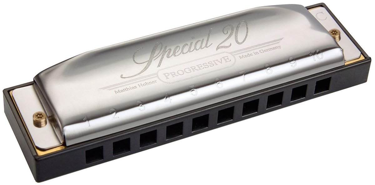 Dailygoods- Mondharmonica Special 20 - Diatonische Harmonica - Speelcomfort - Geluid voor Folk/Country/Rock - Beginners/Professionals - Revolutionair Ontwerp