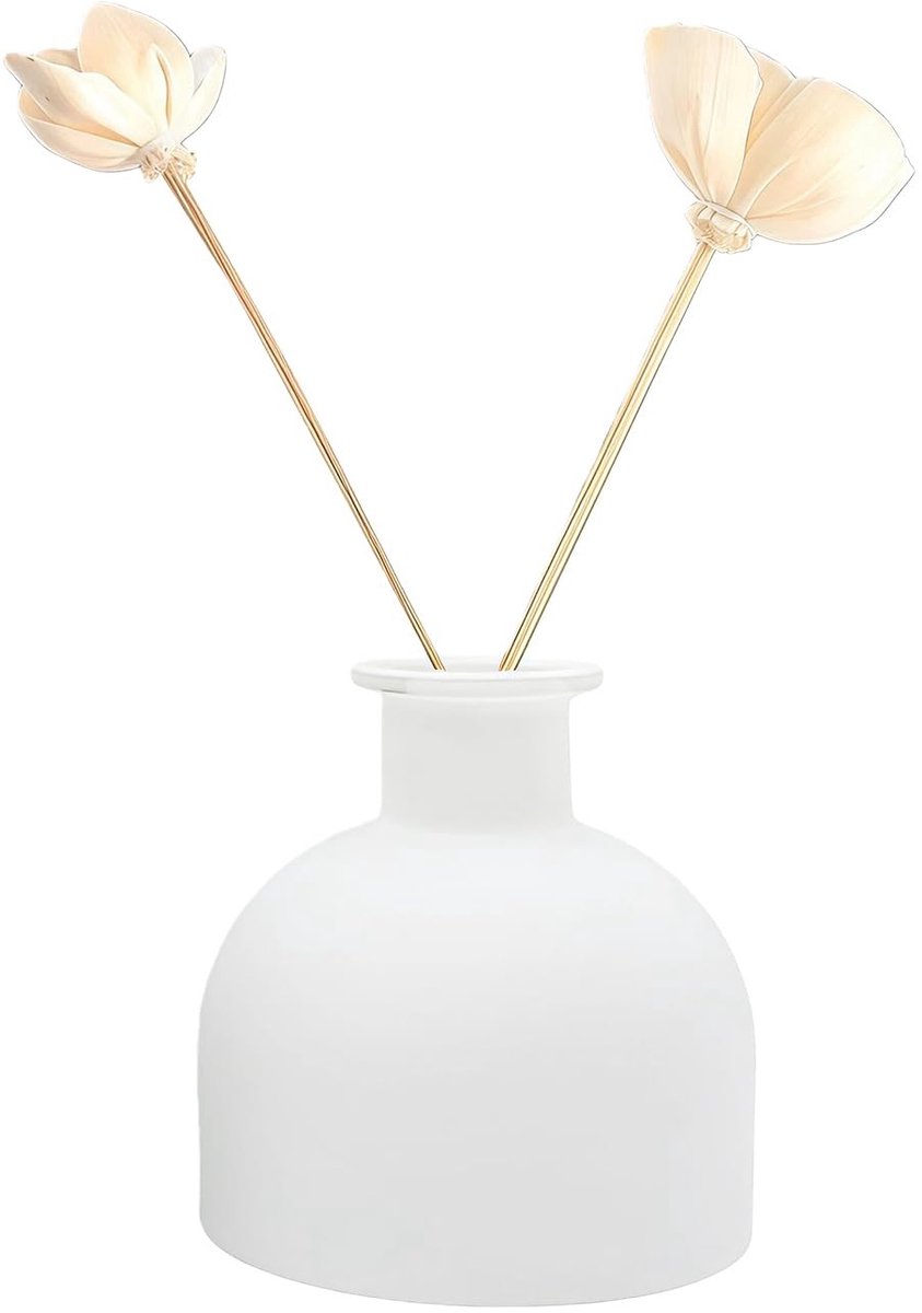 Dailygoods- Diffuser Fles 100ml - Lege Glazen Diffuser - Aromatherapie Container - DIY Geurhouder - Duurzaam Verdikt Glas - Stabiliteit en Elegantie - Geurcontainer