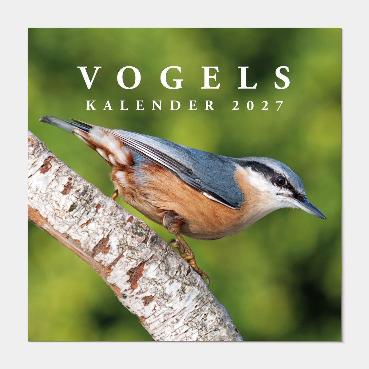 Hobbit - Jaarkalender 2027 - Maandplanner - 30x30cm - Vogels