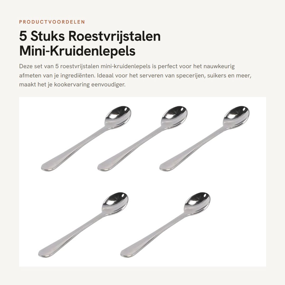 Dailygoods - 5 Stuks Roestvrijstalen Mini-Kruidenlepels