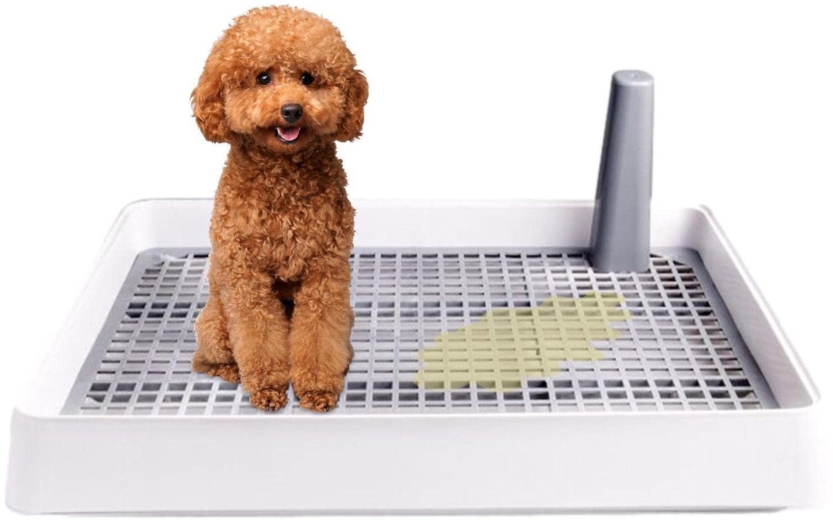 Dailygoods- Hondentoilet Binnen - Puppy Pee Pad Houder - Hondentrainingstoilet - Duurzaam PP-Materiaal - Spatontwerp - Geschikt voor Honden tot 3,5 kg - Puppy Toilet