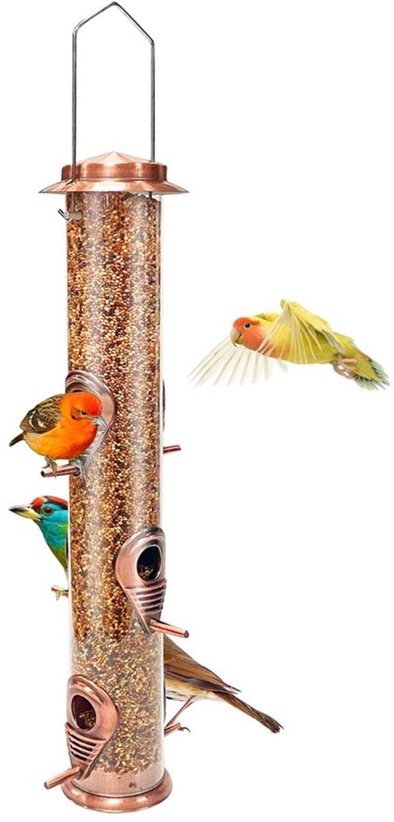 Allecto - Vogelvoederbuis - Hangende feeders - Weerbestendig - Metalen 6-poorts