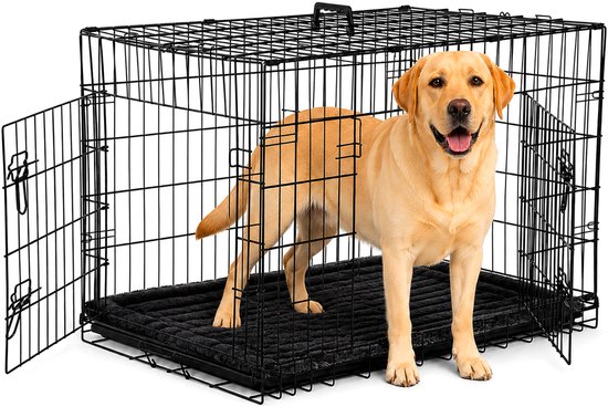 Gele labrador met open bek staat in een zwarte metalen hondenbench met open deur.