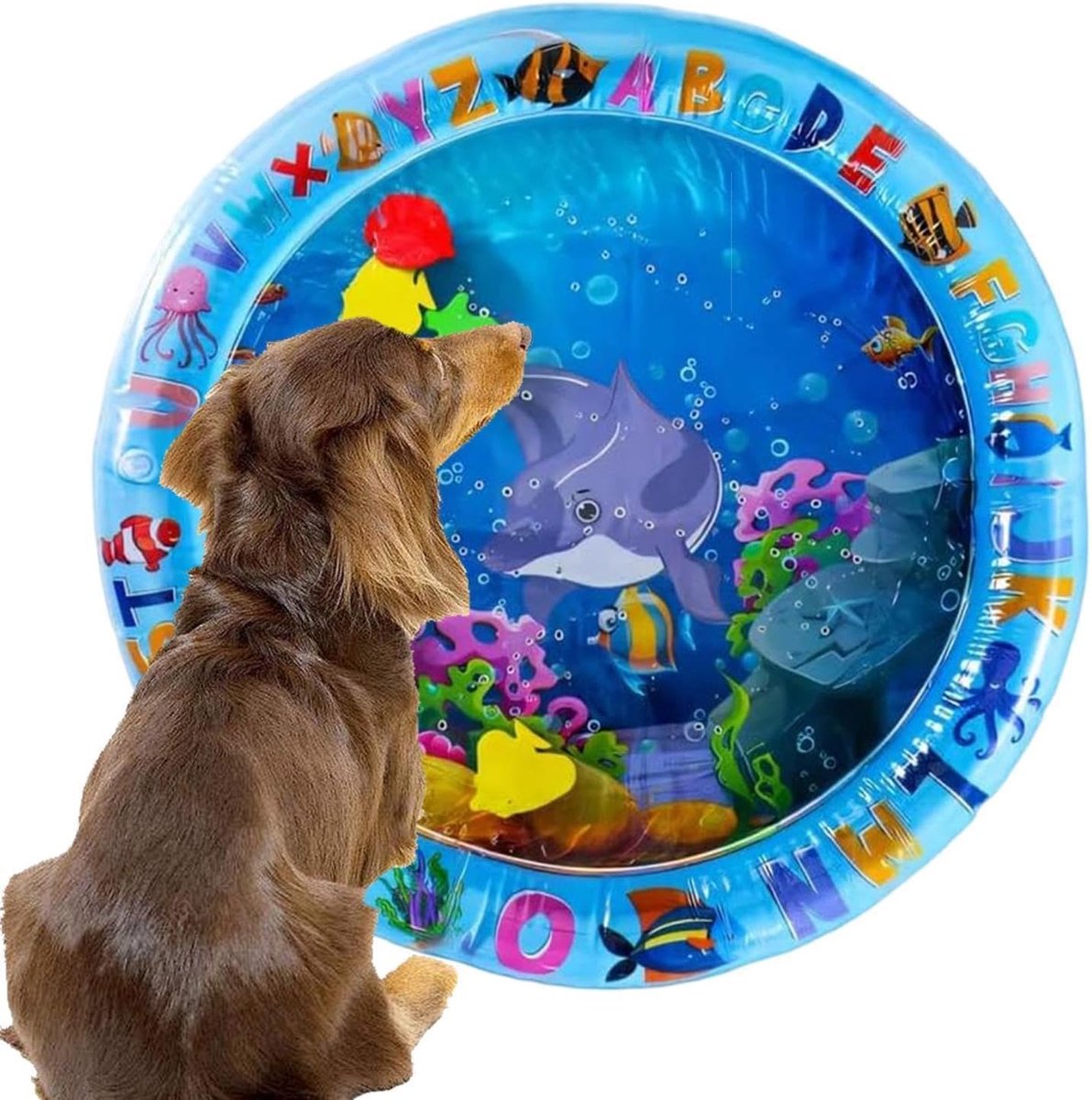 Kattenspeelmat - Huisdier koelkussen - Verkoelend spelen - Interactief waterplezier - 60 cm - Blauw