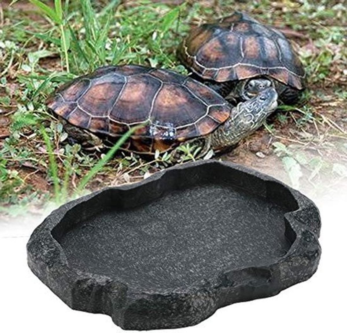 Allecto - Reptielen Voederbak - Waterbak voor Huisdieren - Duurzaam en Praktisch