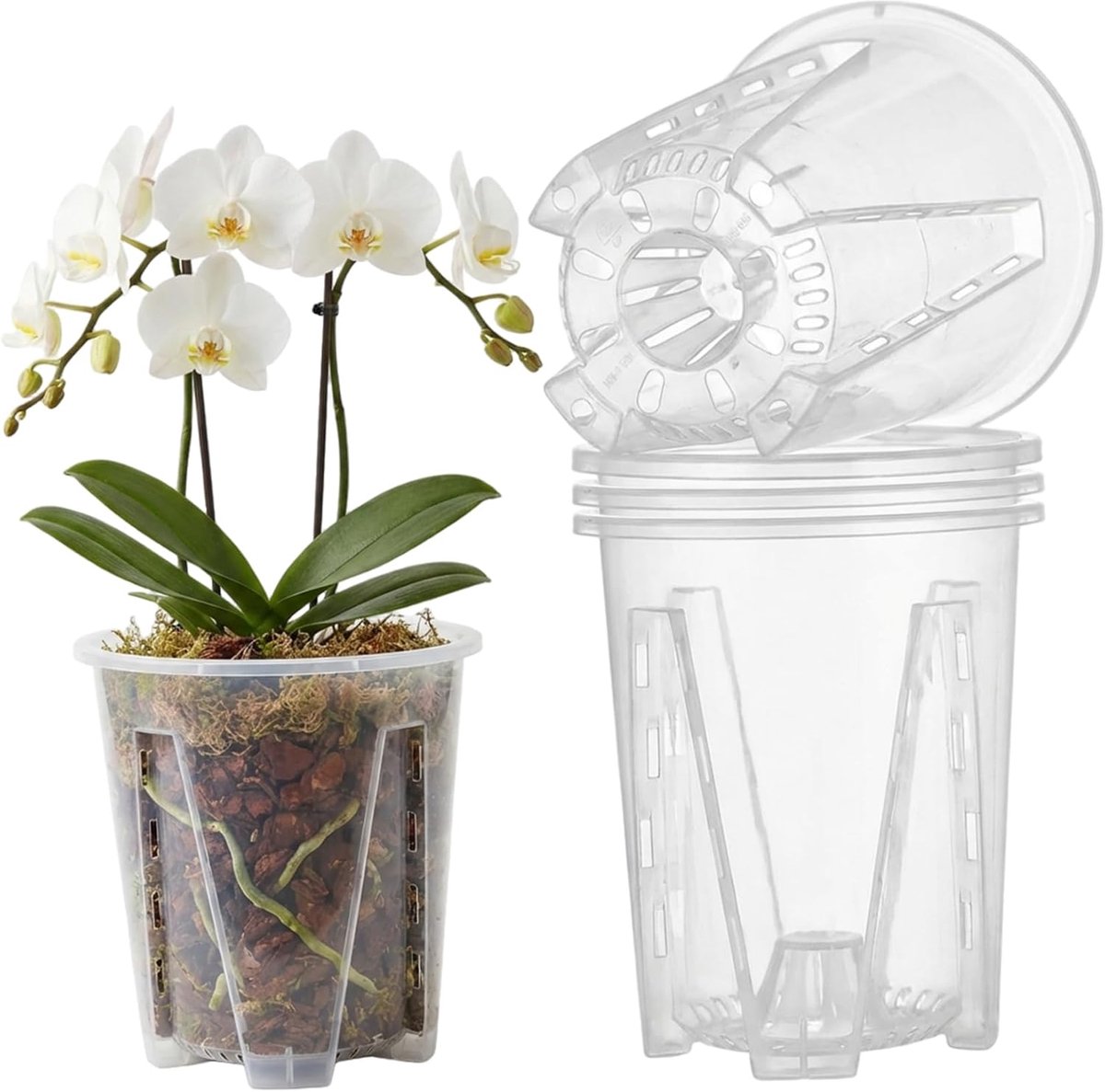 KZQ Doorzichtige plantenpotten met drainagegaten, set van 6, 12 cm, geschikt voor orchideeën, vetplanten, kamerplanten en als kweekpot voor zaden en wortelgroei