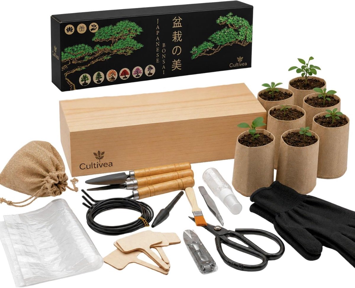 CULTIVEA® Kit Bonsai Box Experience – Complete Bonsai Kweekset voor Beginners met Bonsai Zaden, Potjes, Gereedschap en - ShopVlot