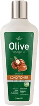 Herbolive Conditioner voor Gekleurd Haar