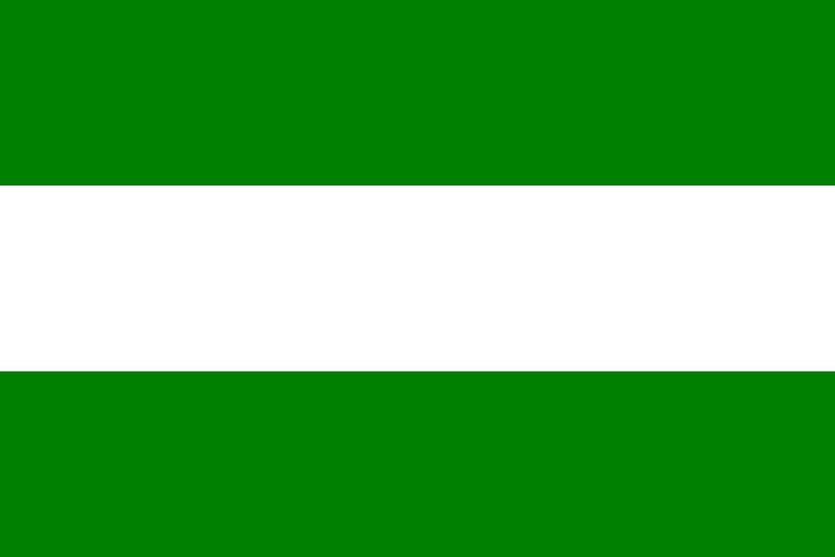 Scoby - Rotterdam Vlag - Stadvlag - Decoratievlag - Rotterdam Flag - Buiten Decoratie - 90 x 150 cm - Groen/Wit