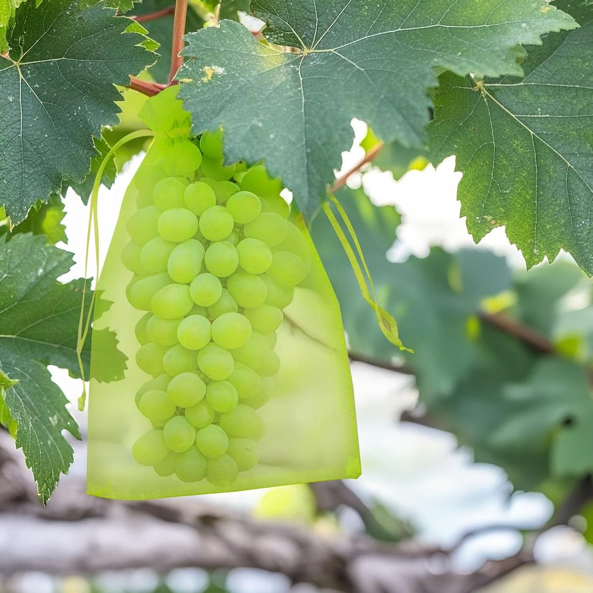 KINGKAKE 50 stuks 20 x 30 cm druivenbeschermingszakjes groene fruitbeschermingszakken met trekkoord, organzazak - ShopVlot