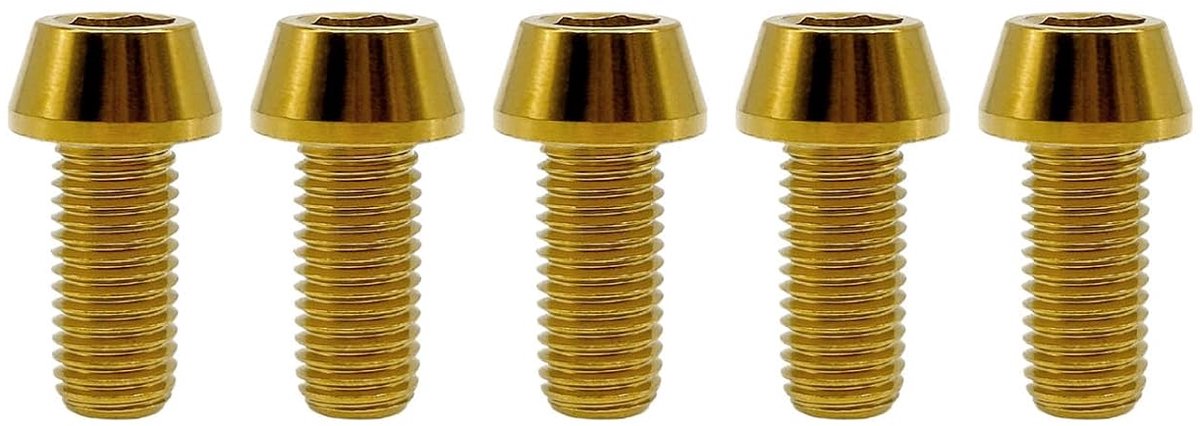 RISON Titanium Bolts M4 x 0.7 x 20mm Bolts Conical Allen Screws GR5 Screws TC4 Hex Socket Bolts Gold Hex Socket Bolts - ShopVlot