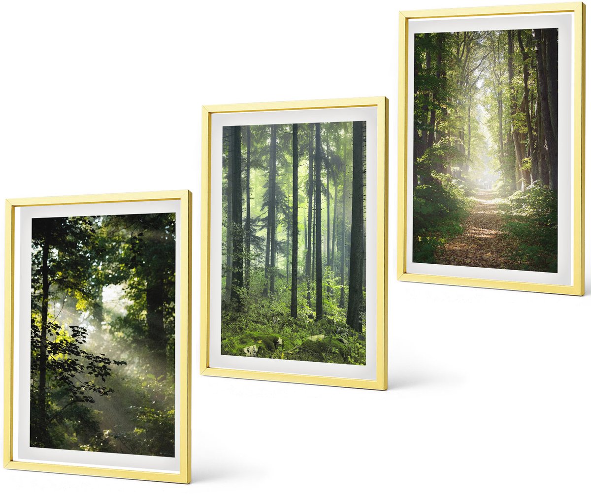Coloray 3-Delige Schilderij Set - Bergmeer Lodz Zonsondergang Hert In De Natuur - 40 x 40 cm En 40 x 60 cm - Muurdecoratie - Interieur Decoratie - Stijlvolle Muurdecoratie