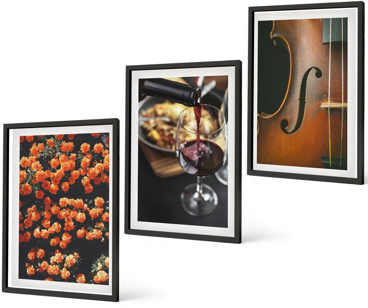 Coloray 3-Delige Schilderij Set - Vintage Romantische Bloemen, Wijn En Viool - 40 x 60 cm - Moderne Wanddecoratie - Slaapkamer - Muurdecoratie