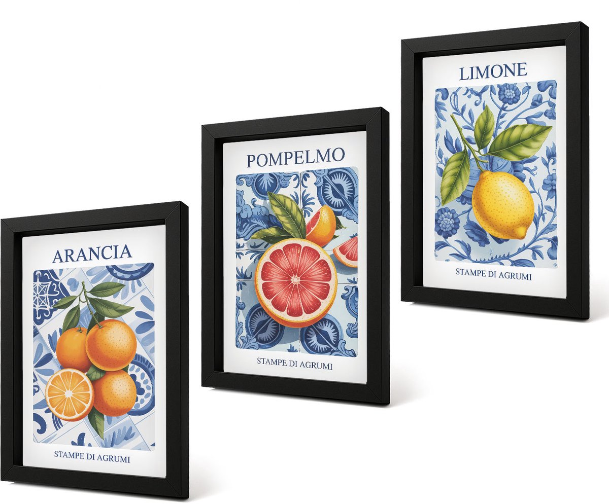 Coloray 4-Delige Schilderij Set - Vintage illustraties van citrusvruchten - 20 x 30 cm - Stijlvolle Muurdecoratie - Kantoor - Decoratieve Schilderijen