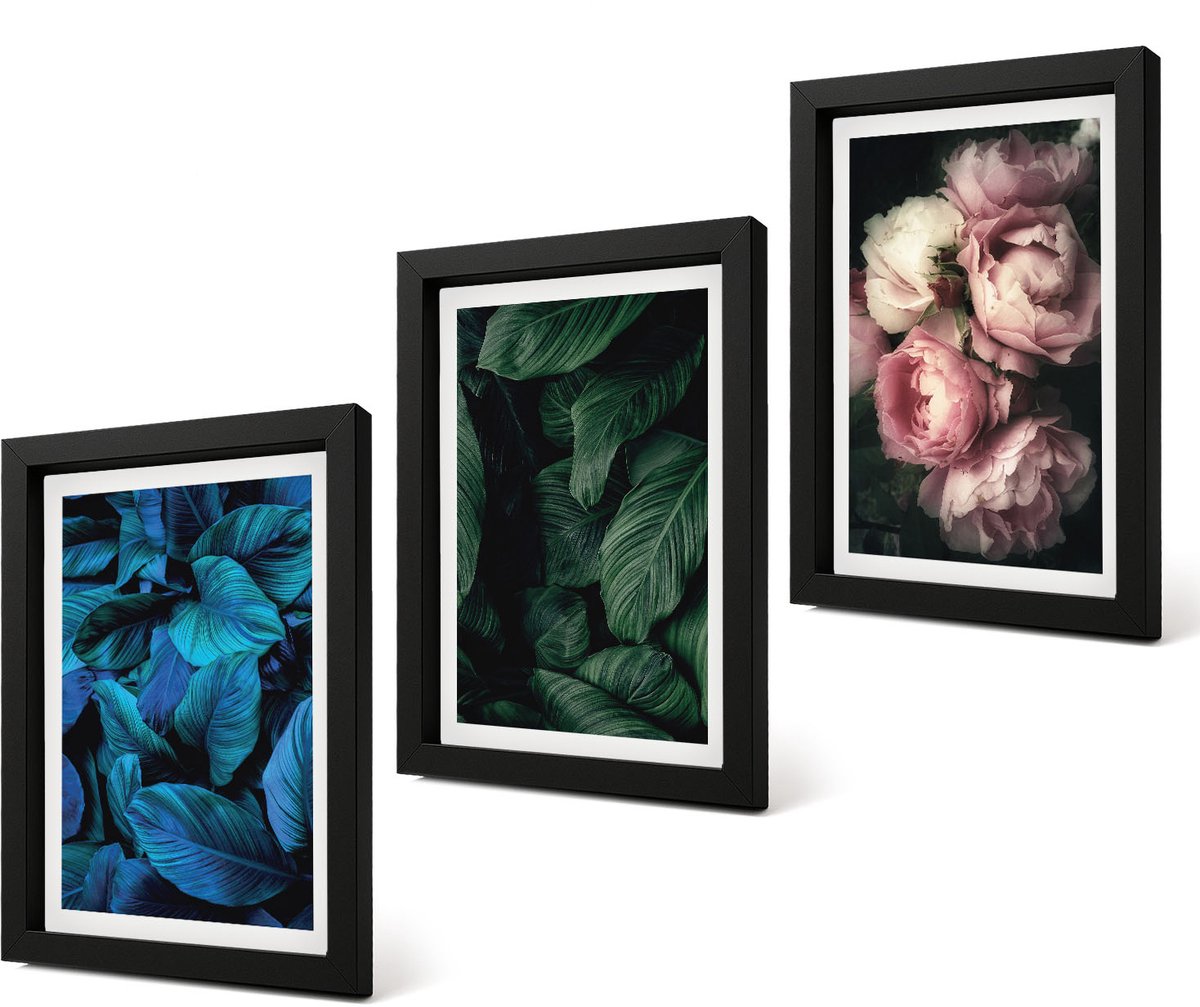 Coloray 4-Delige Schilderij Set - Bladeren en bloemen in verschillende kleuren - 20 x 30 cm - Muurdecoratie - Wanddecoratie - Hal