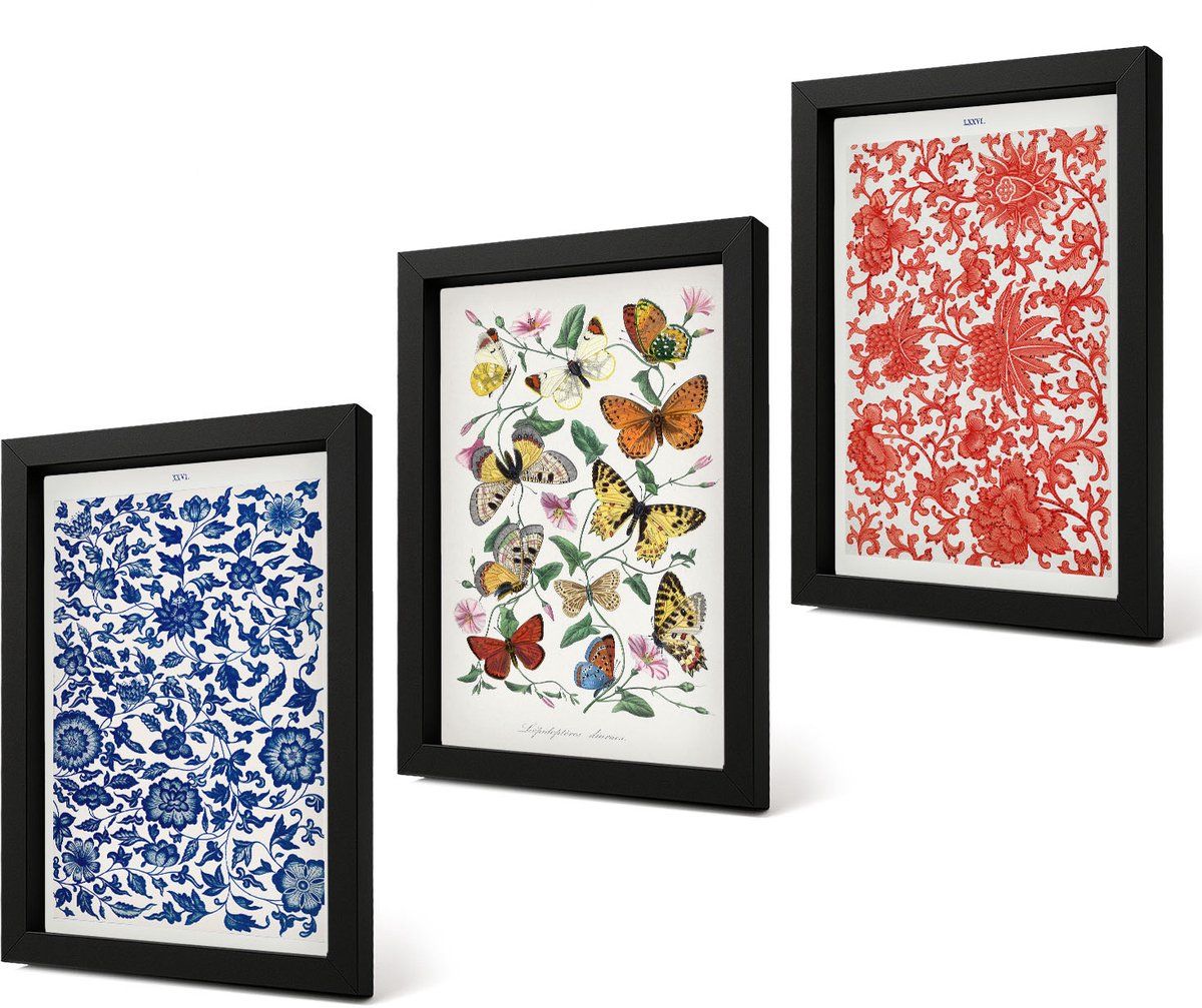 Coloray 4-Delige Schilderij Set - Vintage posters met bloemen, vlinders en ornamenten - 20 x 30 cm - Wanddecoratie - Woonkamer Decoratie - Stijlvolle Muurdecoratie