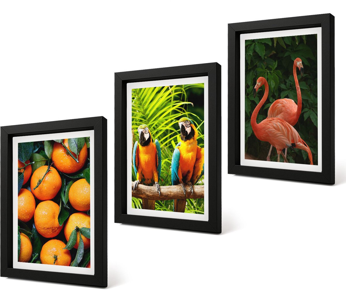 Coloray 4-Delige Schilderij Set - Fruitige accenten met papegaaien en flamingo's in de tropen - 20 x 30 cm - Stijlvolle Wanddecoratie - Interieur - Stijlvolle Muurdecoratie